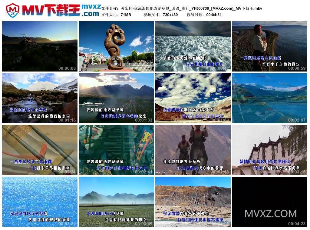 苏宏伟-我流浪的地方是草原_国语_流行_YF500738